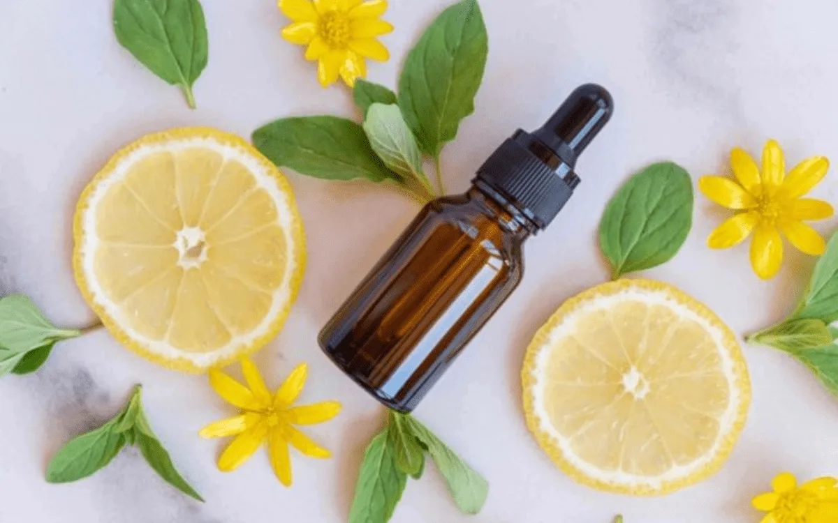 The Top 6 CBD Brands That Are Changing the Wellness Game