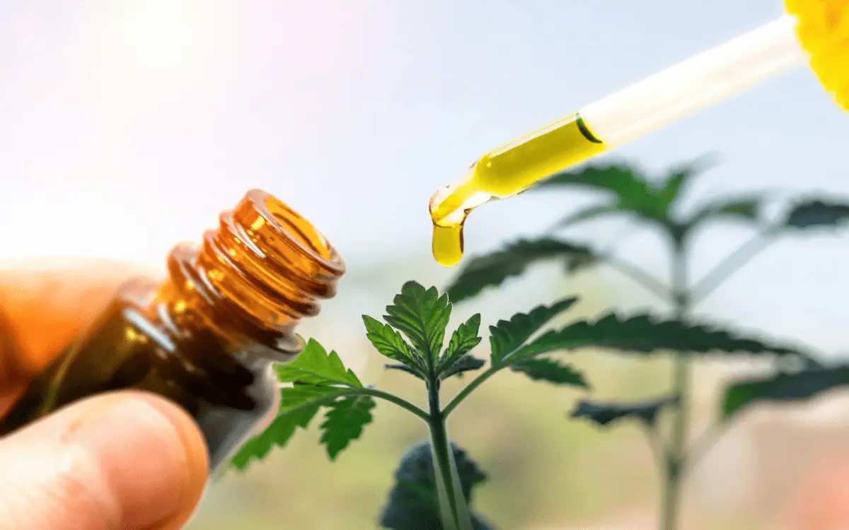 Top 6 CBD Products That Will Transform Your Wellness Journey