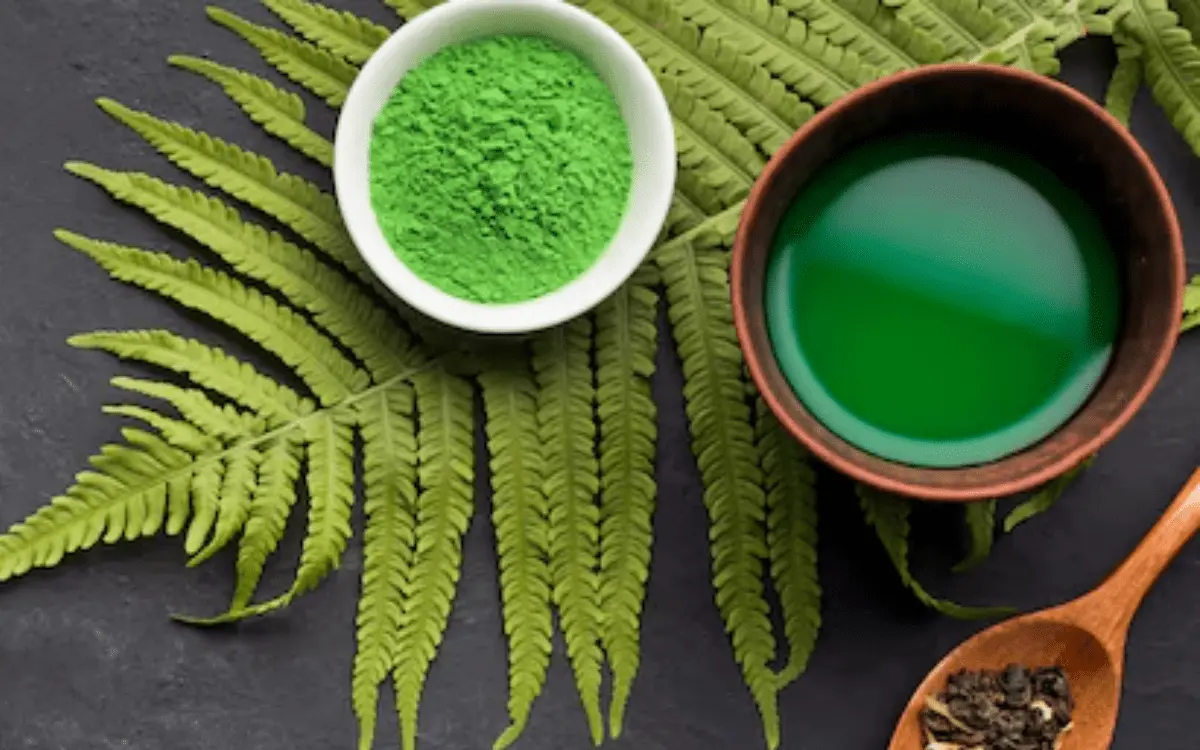 Top 6 Kratom Products Need to Experience in 2025