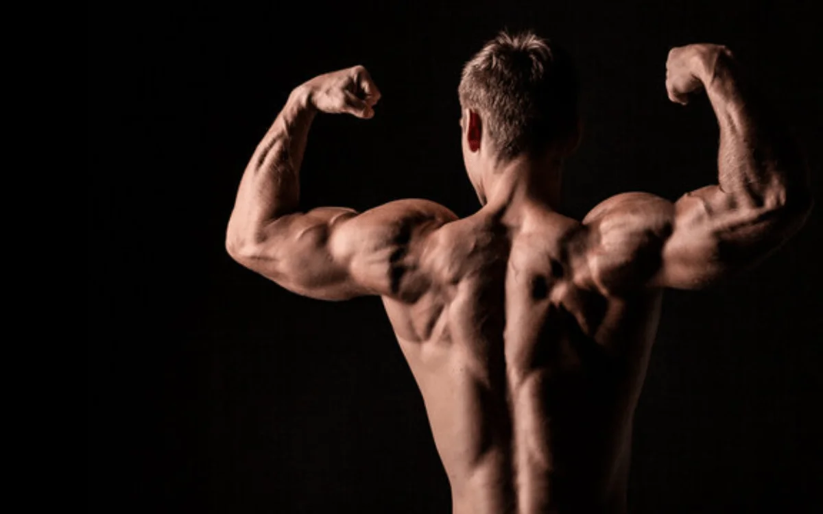 Top 6 Health & Wellness Products for a Better You